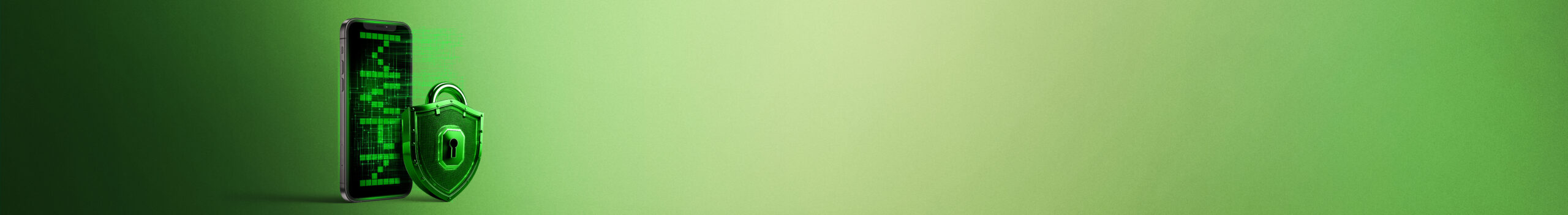 /wp-content/uploads/2024/11/MVPN-1920x263-copy-scaled.jpg